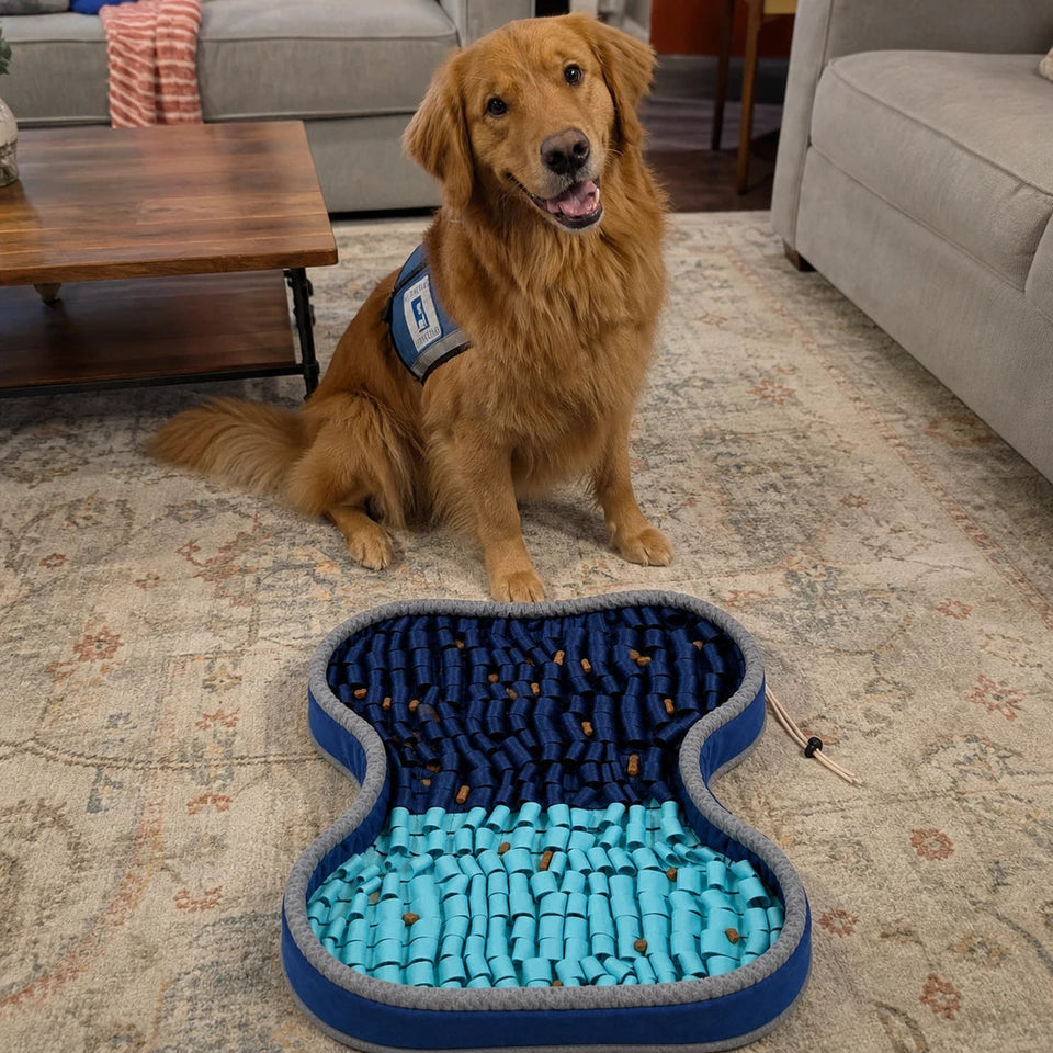 Normie beside the PuzzlePup Snuffle Mat at home