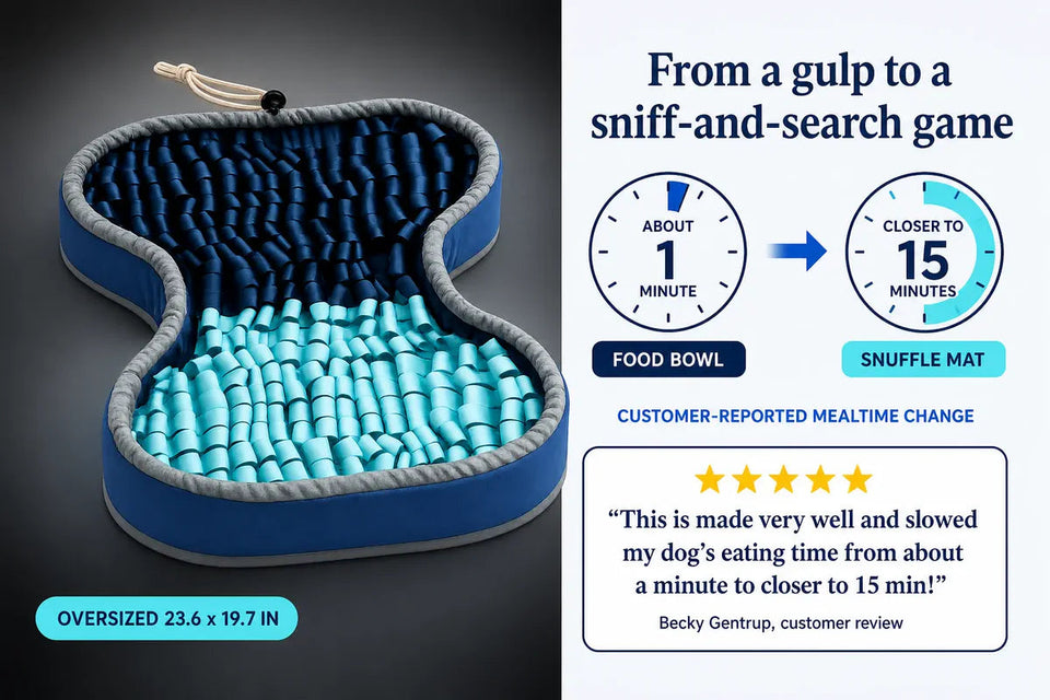 Complete graphic explaining how the Snuffle Mat stretches food-finding time