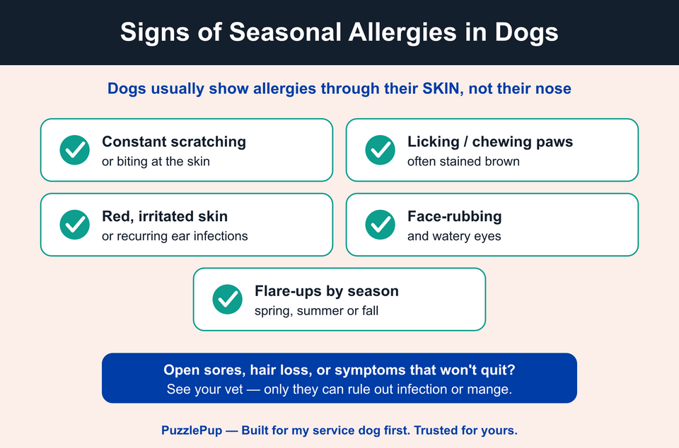 Signs of seasonal allergies in dogs including scratching, paw licking, ear irritation, face rubbing, and seasonal flare-ups