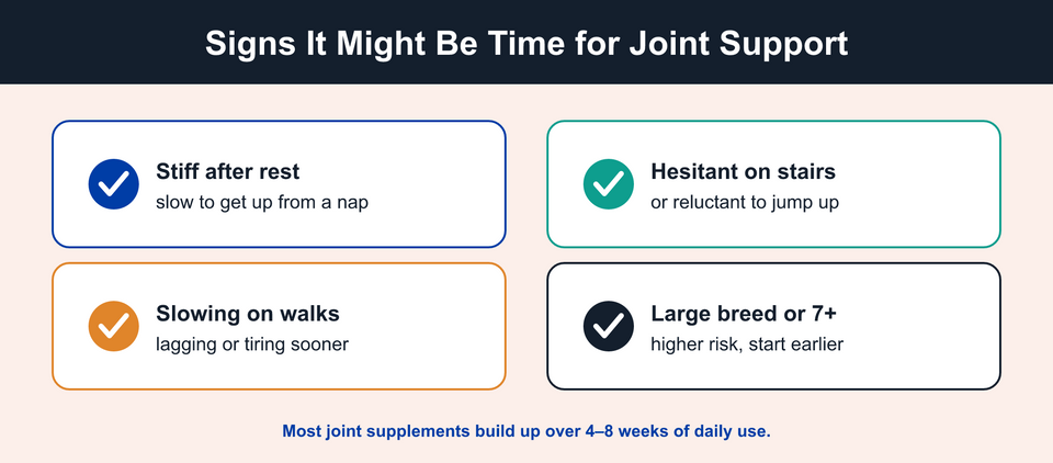 Signs it might be time for mobility formula: stiff after rest, hesitant on stairs, slowing on walks, large breed or 7 years and older